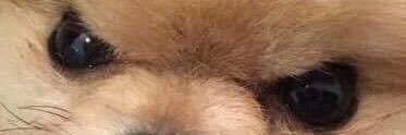 Brandon__Field's profile banner image
