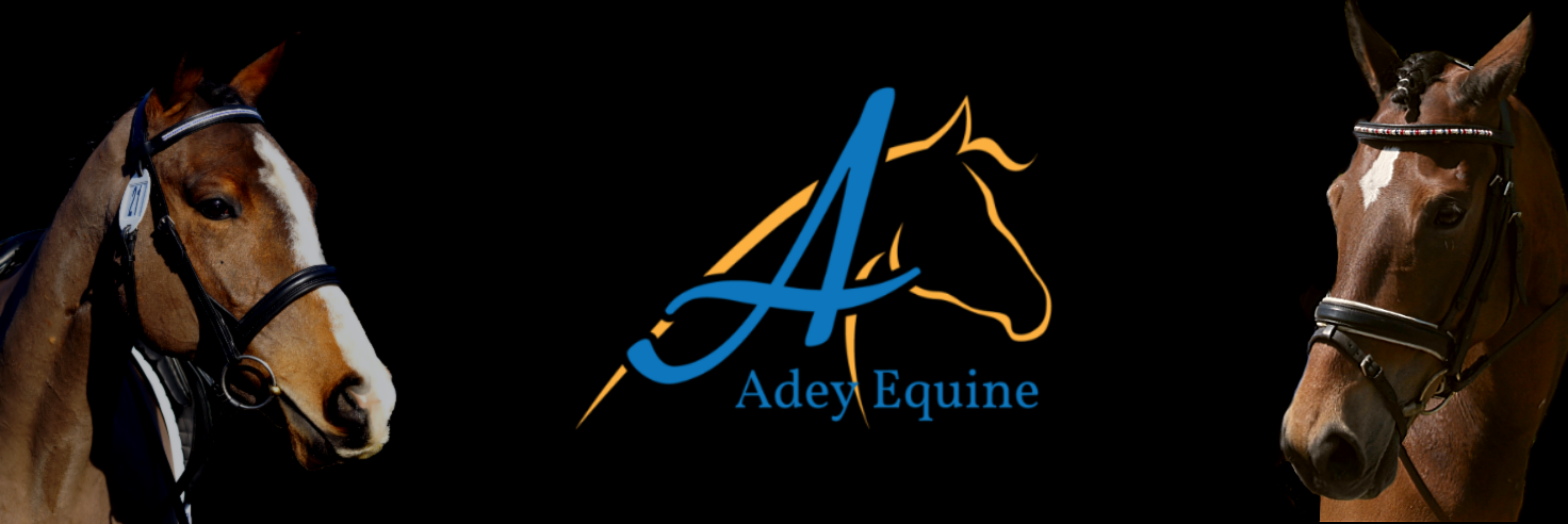 EquineAdey's profile banner image