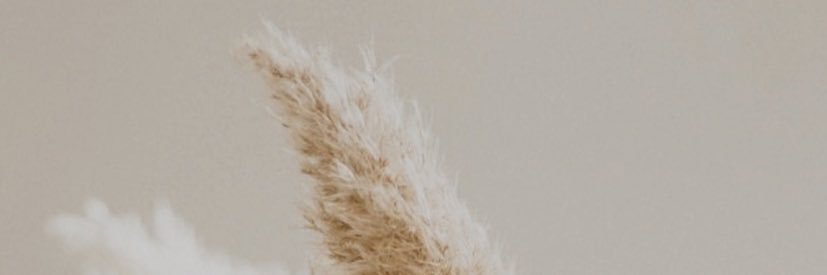 Hailey Goddeeris banner