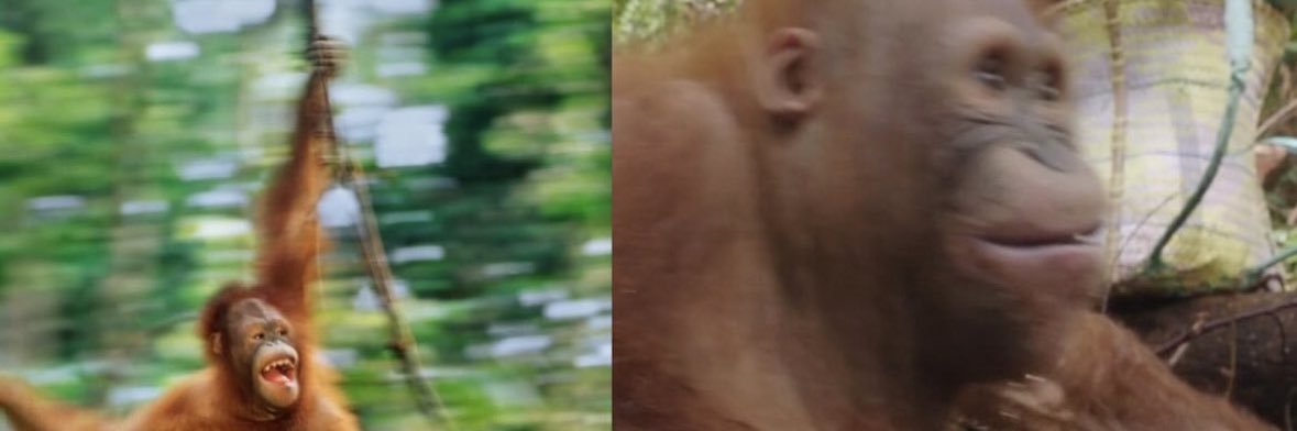 Grant banner