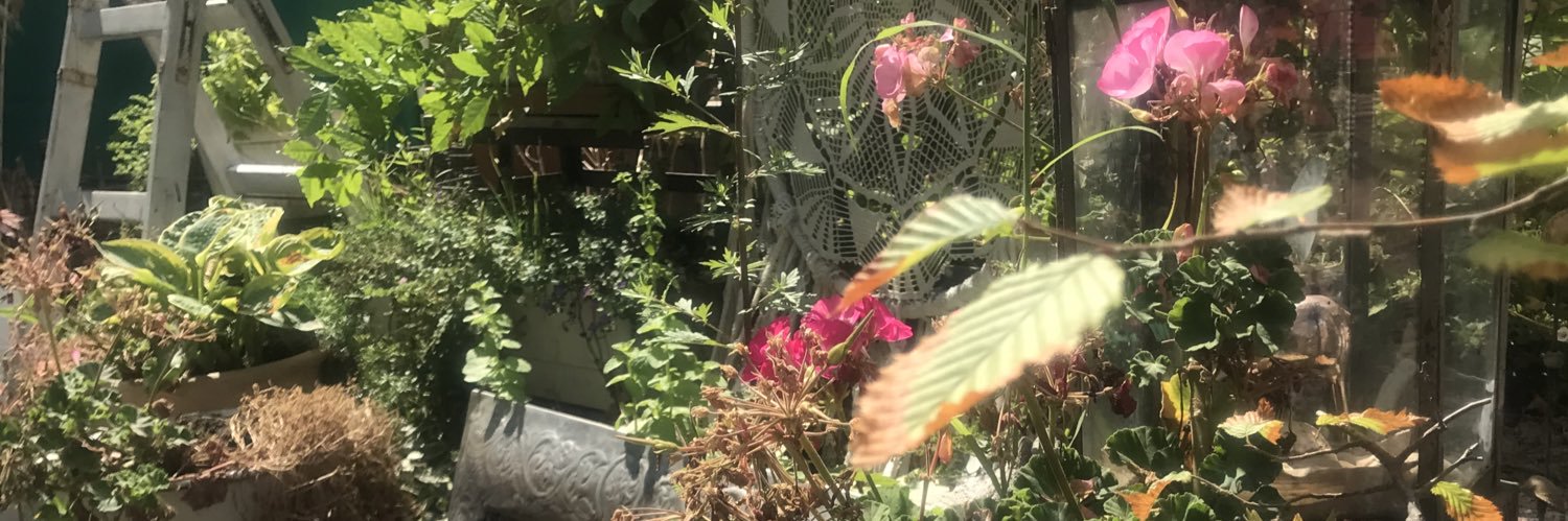 JaneDeFennec's profile banner image