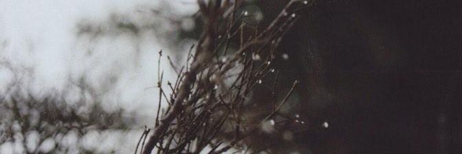 mazuna23's profile banner image
