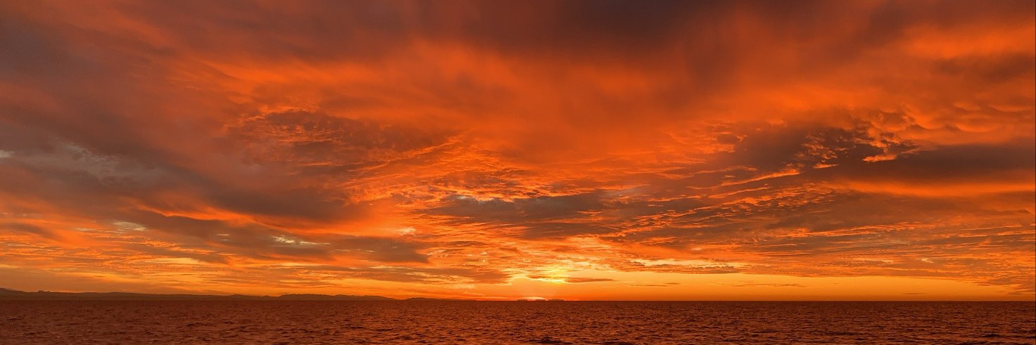 cryptoking5.sol banner