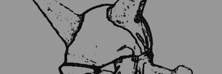 ☠_T.0.R.T.U.R.E_☠ banner