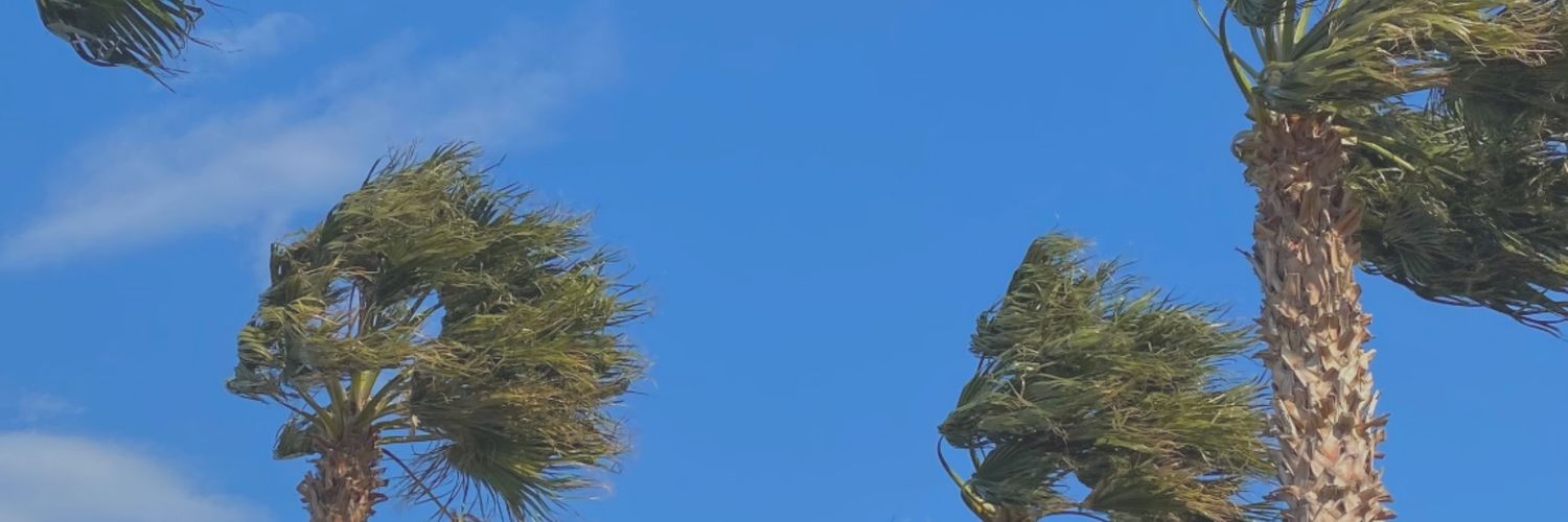 rohan banner