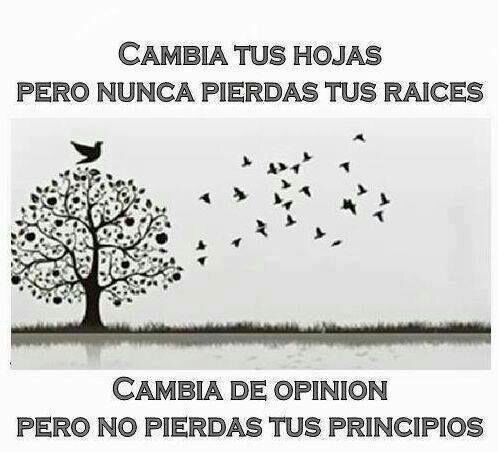 Huguito Chera`a banner