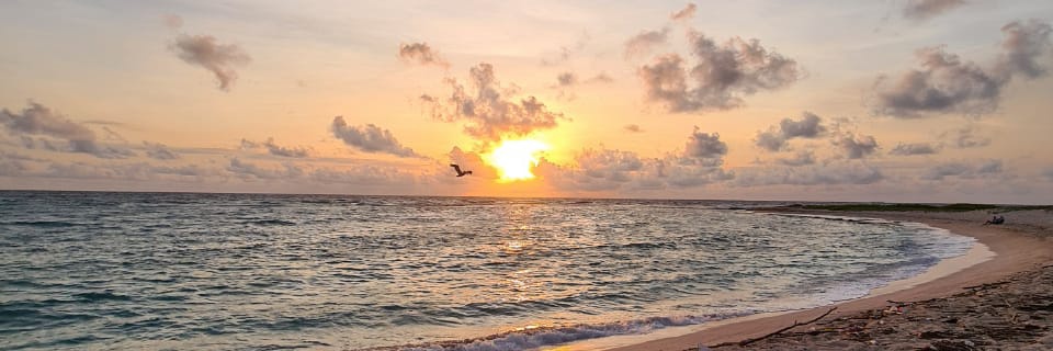 TremusJairo's profile banner image