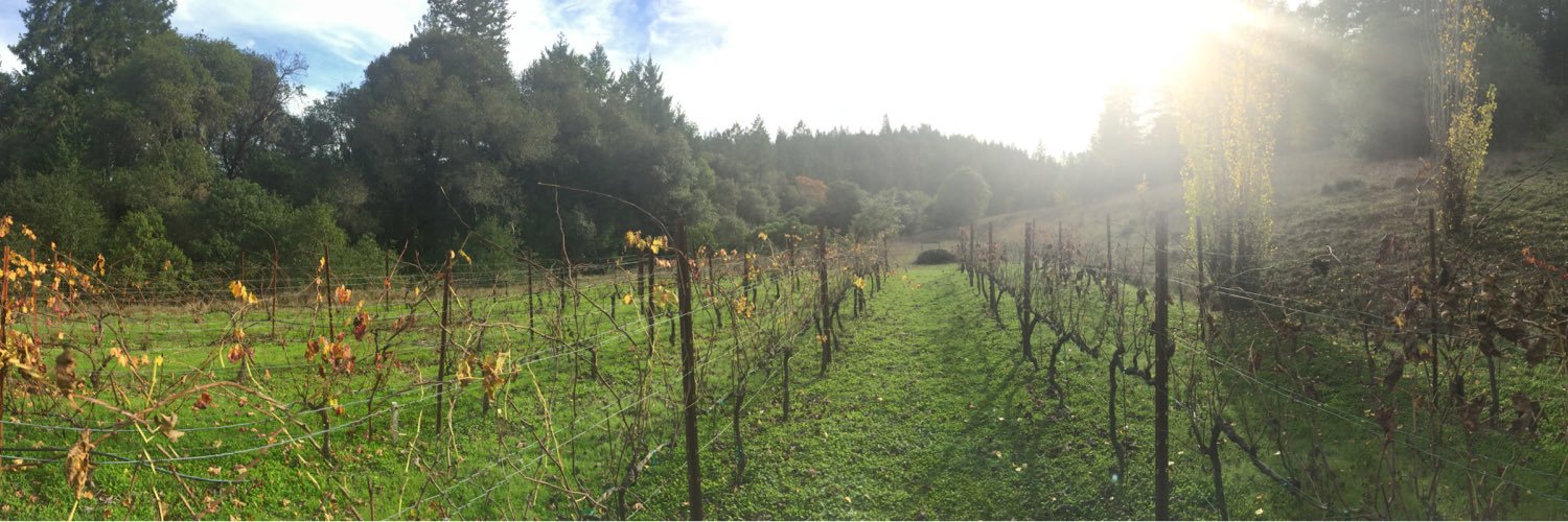 Sam Schillace banner