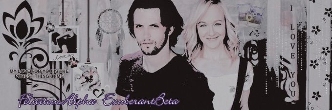 𝐻𝒾𝓈 𝐵𝑒𝓉𝒶 𝒲𝑜𝓁𝒻 ☾ Parody banner