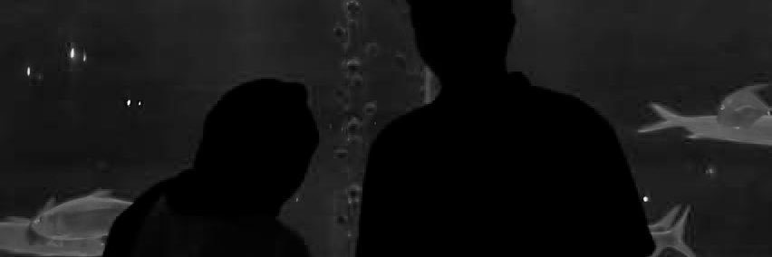 cforcultist's profile banner image