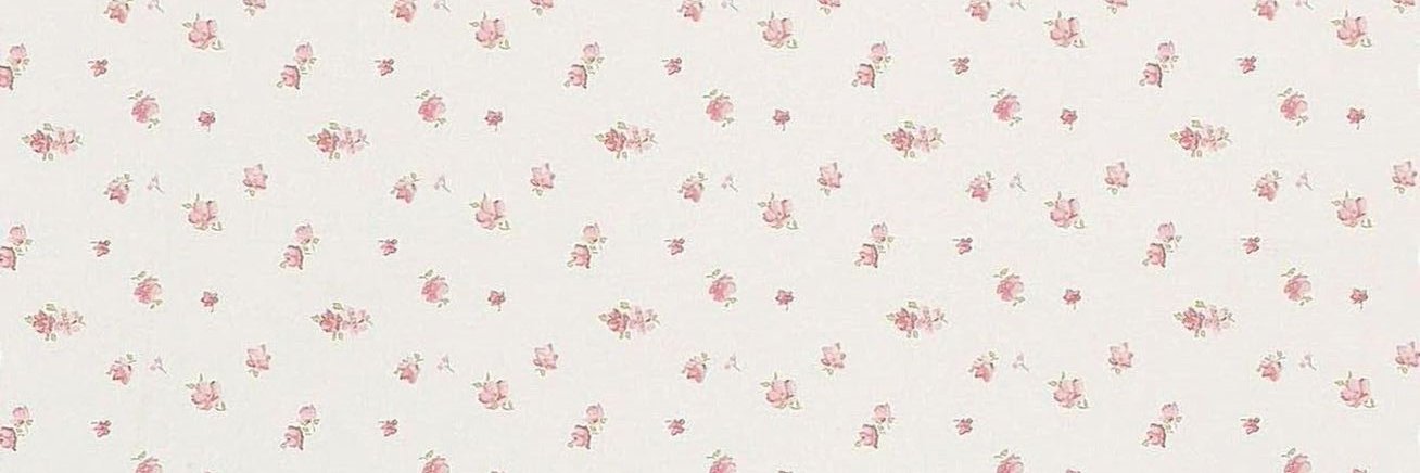 bunnierina's profile banner image