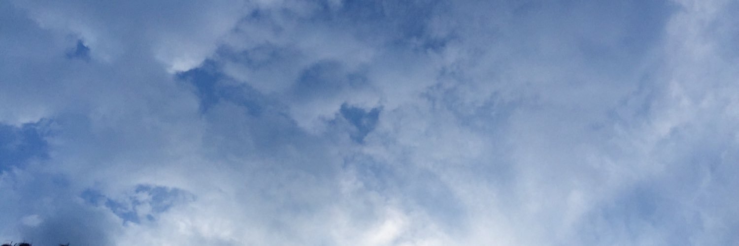 marylule's profile banner image