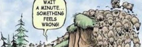 Radge 🏴󠁧󠁢󠁳󠁣󠁴󠁿 😇 🇦🇺 banner