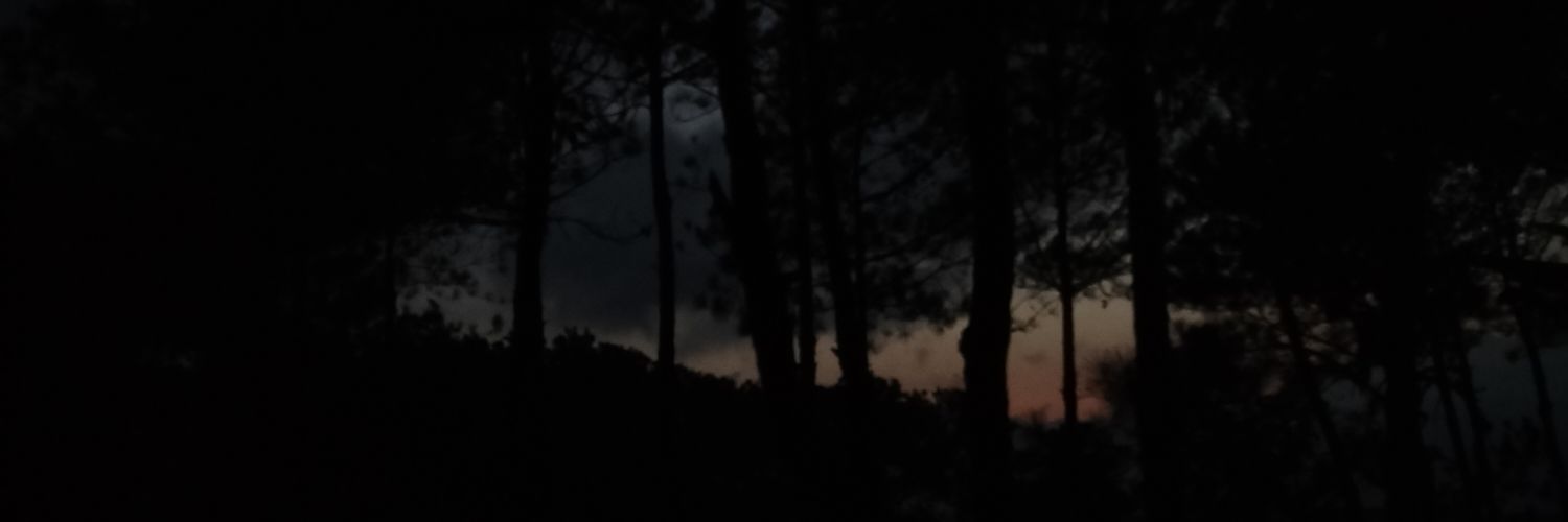 Bini_8220's profile banner image