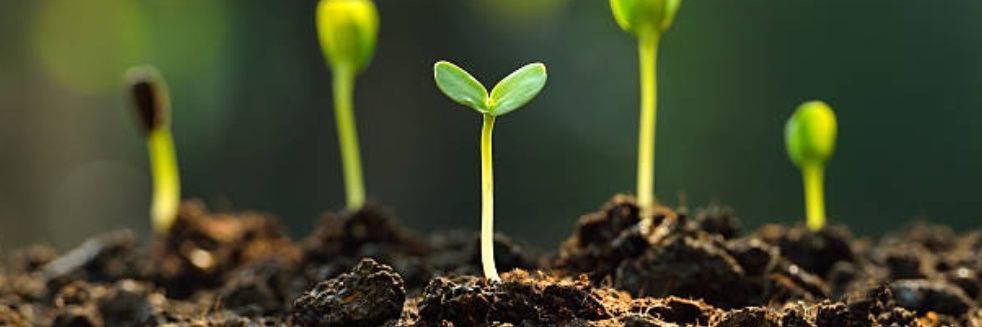 Techi Meena26 banner