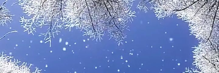 Revan__20's profile banner image