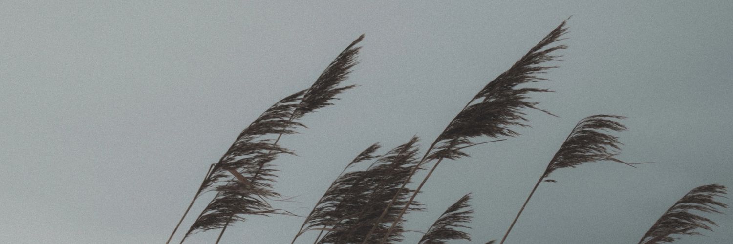 psygra's profile banner image