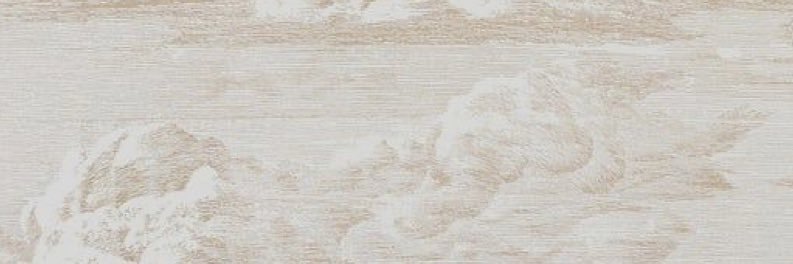 brookifer1's profile banner image