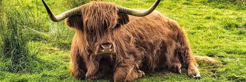 Keith Findlay banner