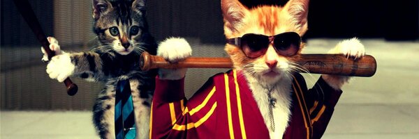 YipaoM3's profile banner image
