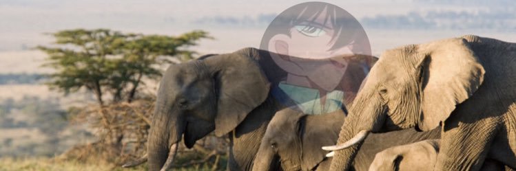 Ka8Le's profile banner image