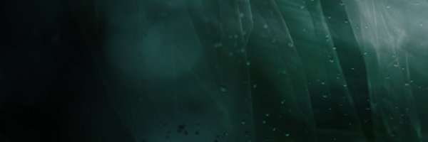 kenty_l_y Profile Banner