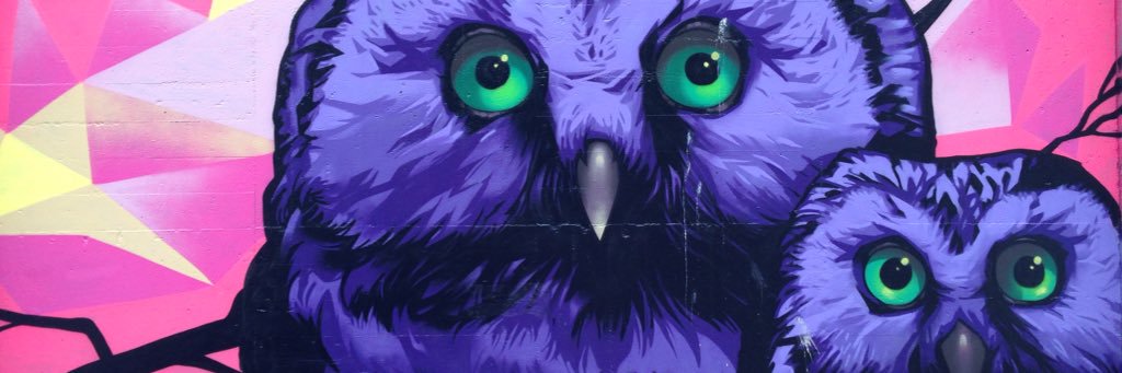 l_fugl_'s profile banner image