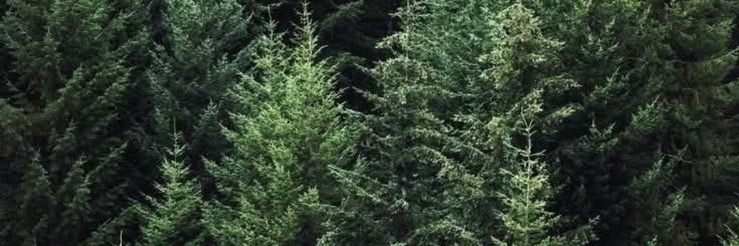 Vercingetorige 🇮🇹 banner