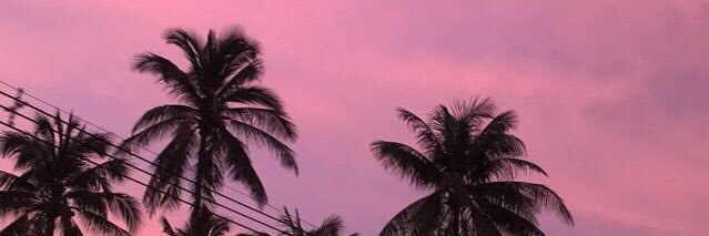 _txmmm's profile banner image