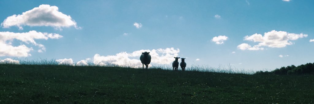 SAM_wichhhh's profile banner image