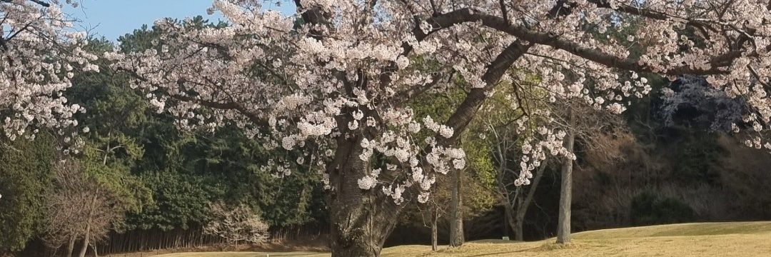 MrLast ♠️💸 banner