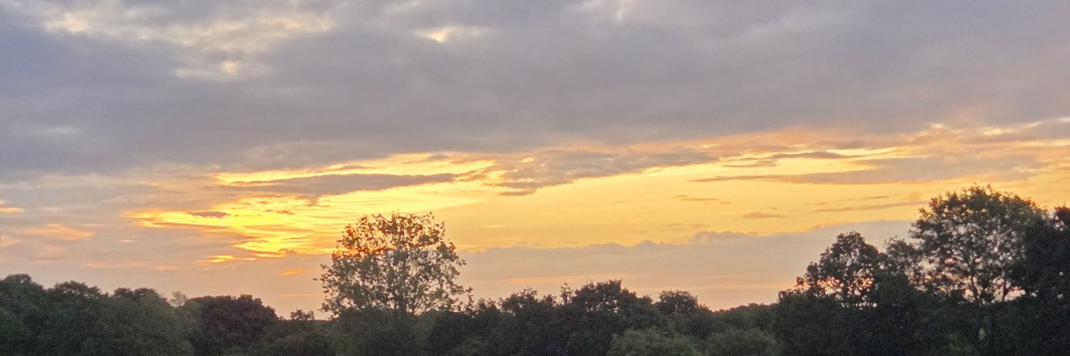 PhilMayers's profile banner image