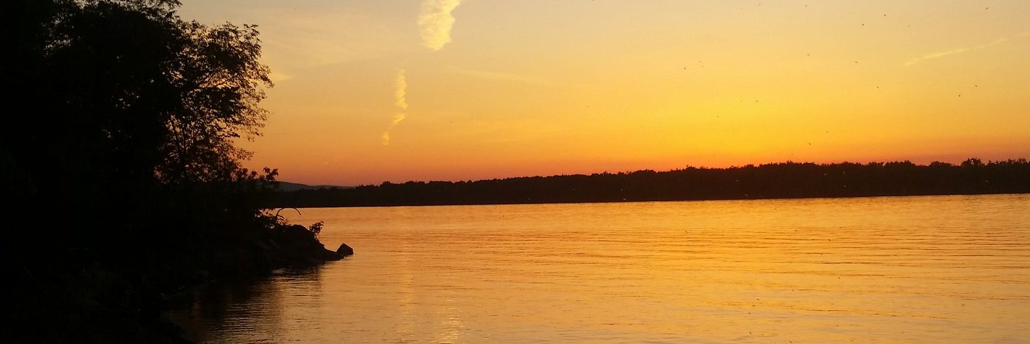 afynnie's profile banner image