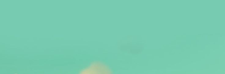 ssongwon_'s profile banner image