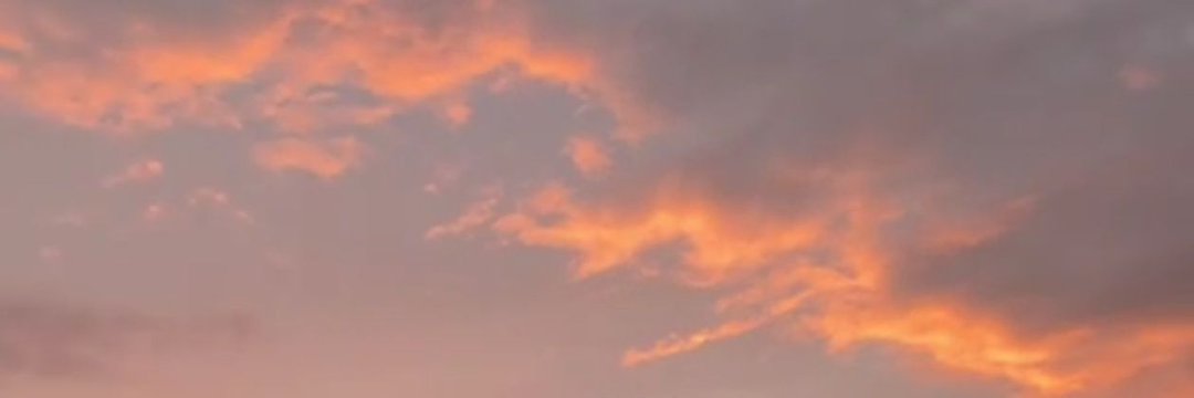 tanuko114's profile banner image