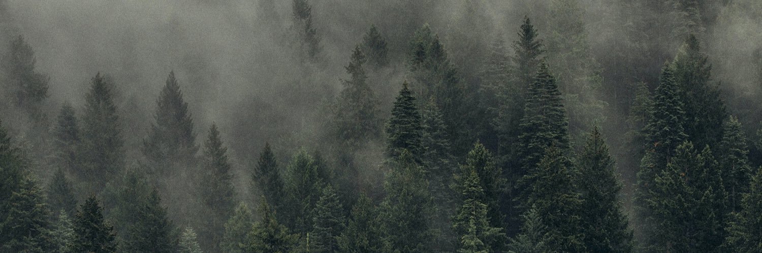 mel banner