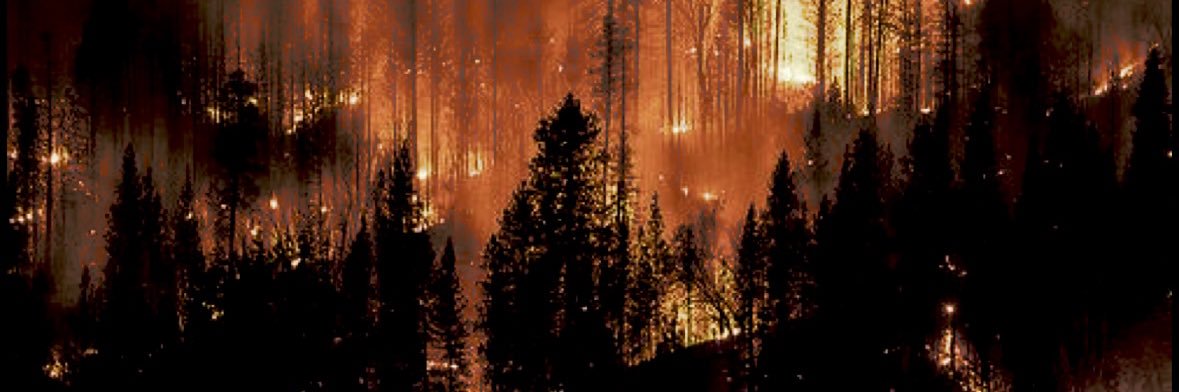 _fireborne's profile banner image