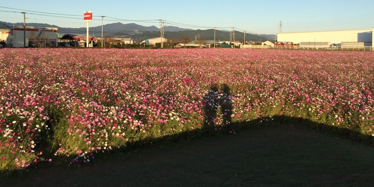 03yupeko031's profile banner image