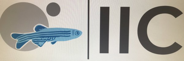 IIC_UMU_IMIB Profile Banner