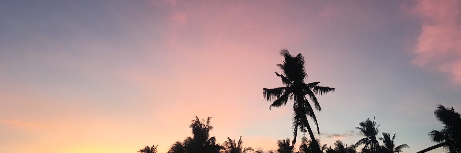 steffffffffffi's profile banner image