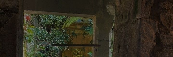 iarasmoniz's profile banner image