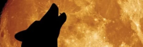 Cliffdog banner
