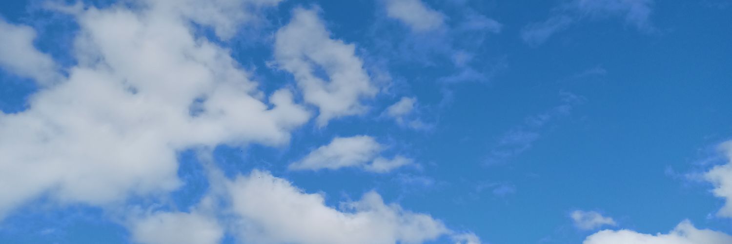 PAUL's banner