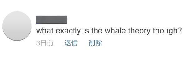 whale_theory Profile Banner