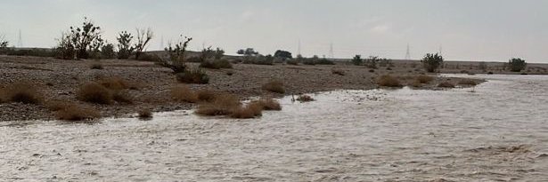 nayef_enz7's profile banner image