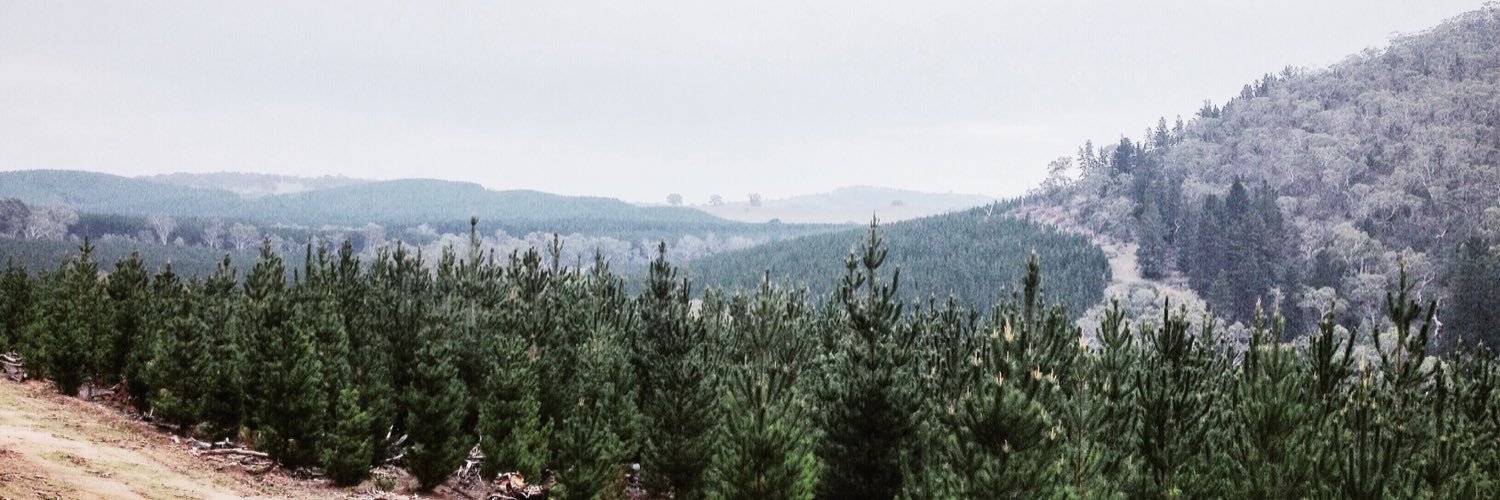 TysonGerrie's profile banner image