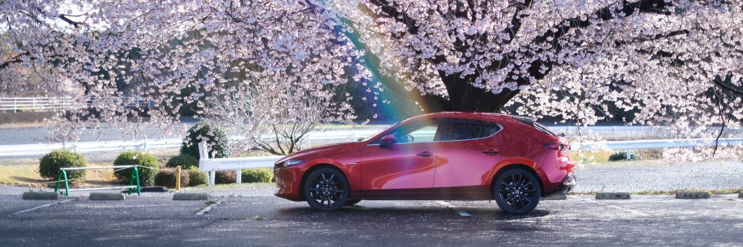 🍊LILI IRON FIST🍗 banner