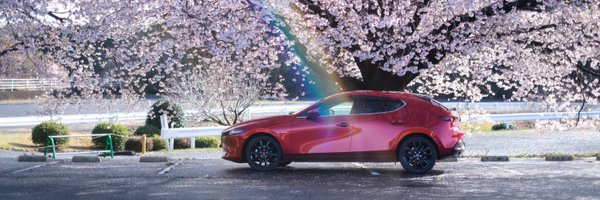 verisa666 Profile Banner