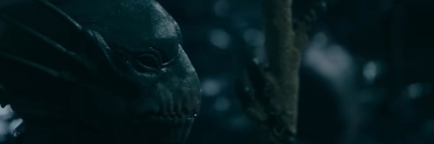 DoctorSeaDevil banner