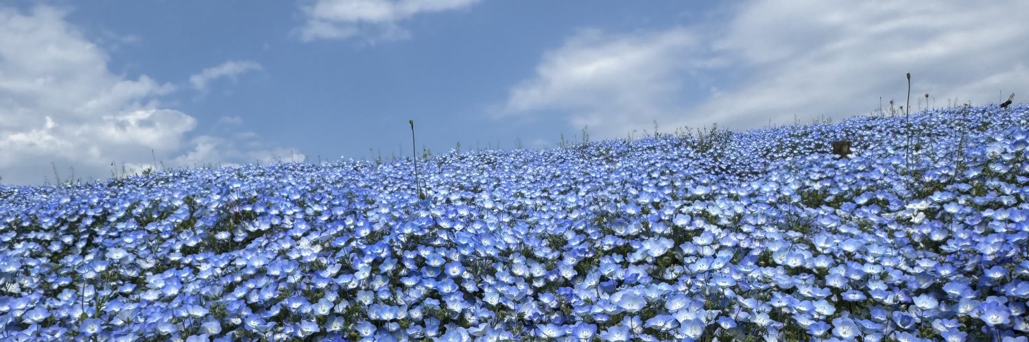 Minatoxox's profile banner image